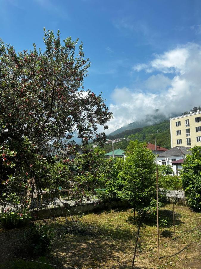 Na Shapsug Guest House Gagra Exterior foto